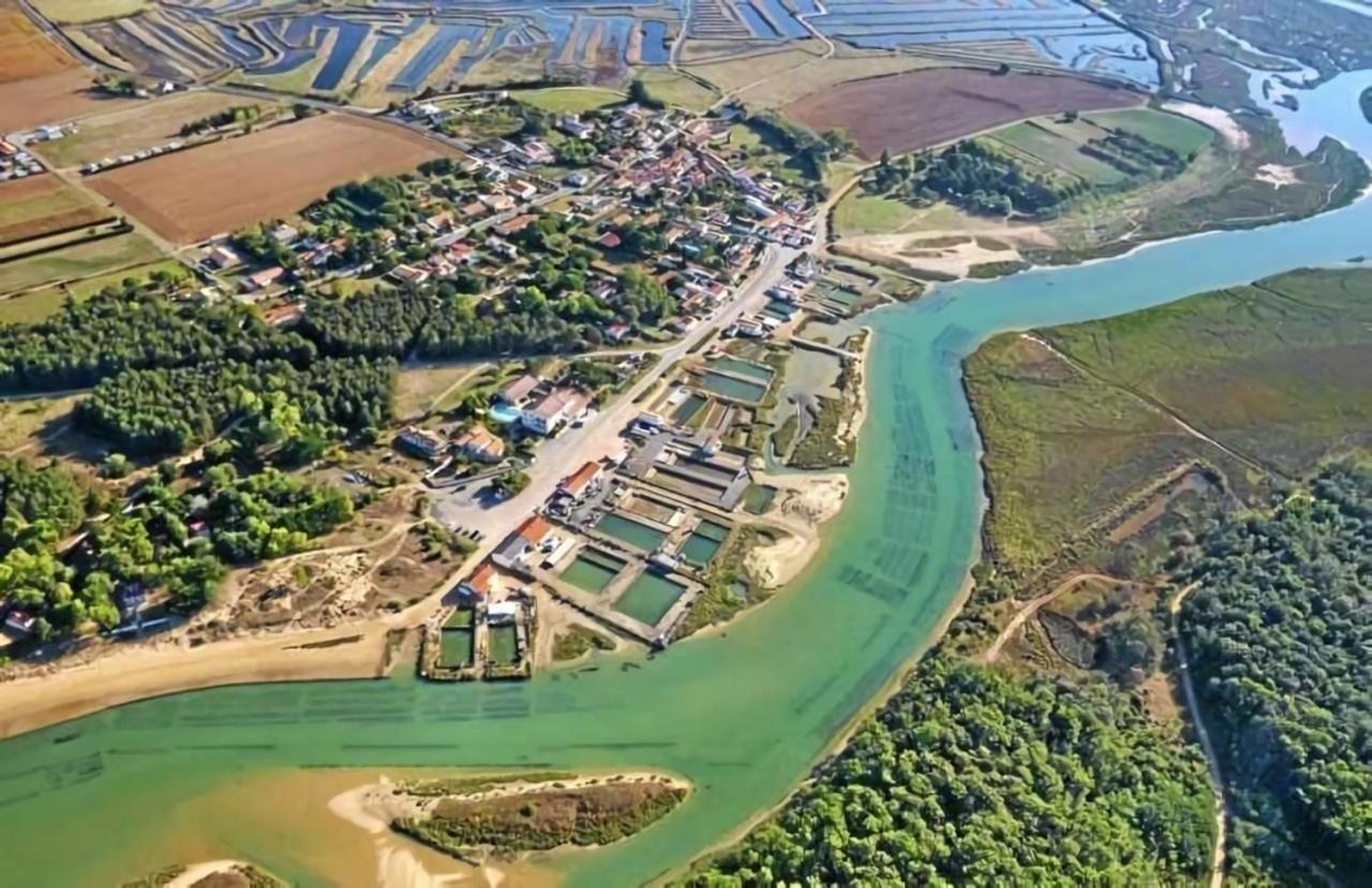 La Maisonnette Du Payre Talmont-Saint-Hilaire Esterno foto